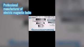 Профессиональный производитель электрических магнитных замков